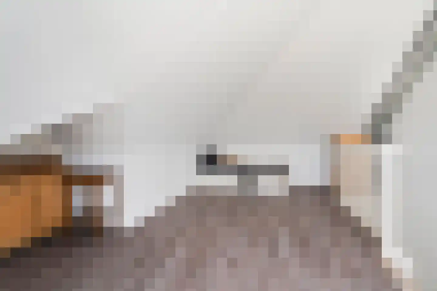 Tijmstraat 4 Elburg thumbnail 28