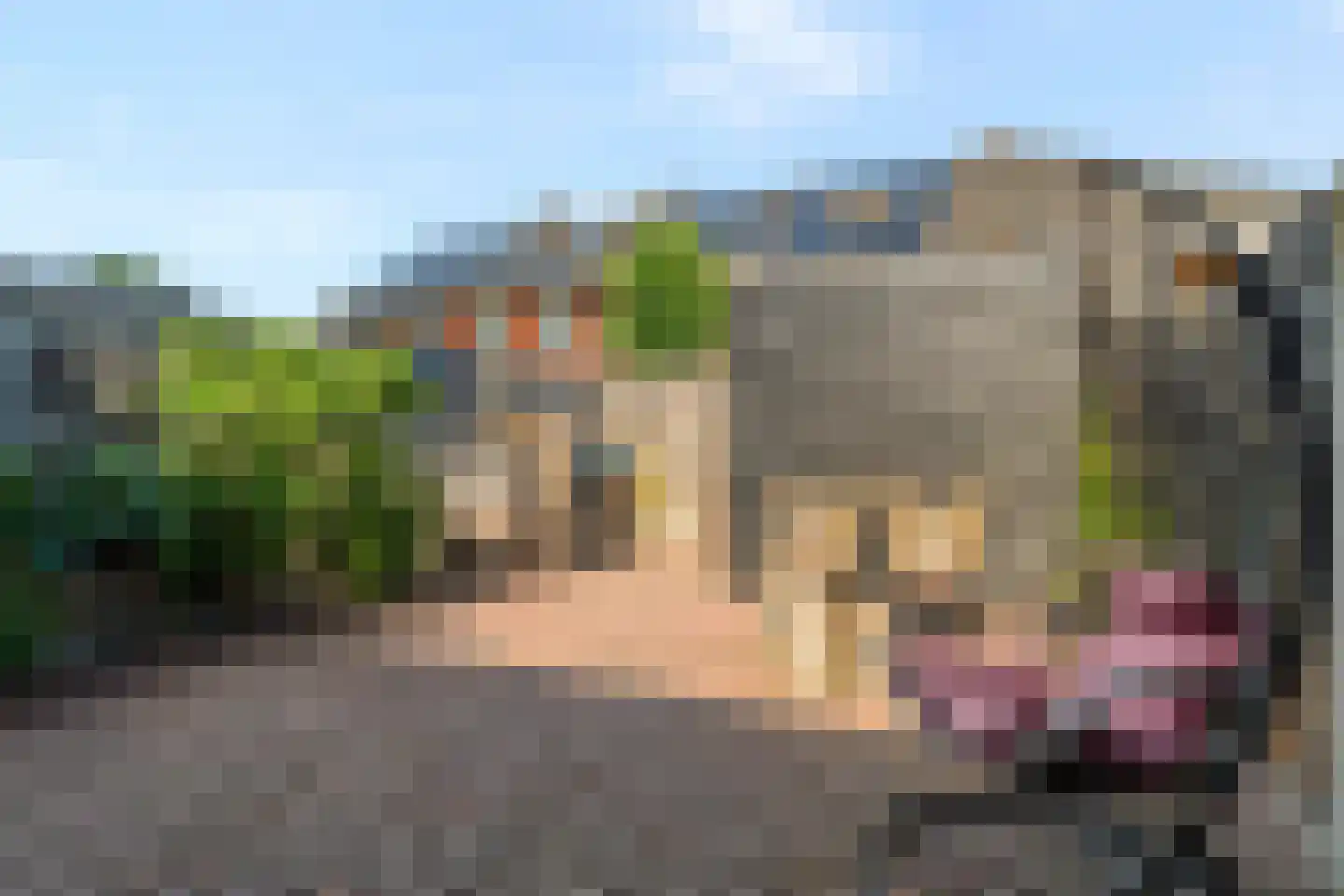 Tijmstraat 4 Elburg thumbnail 34