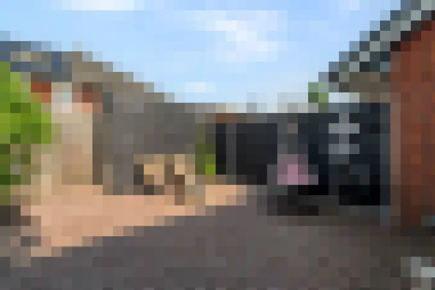 Tijmstraat 4 Elburg thumbnail 4