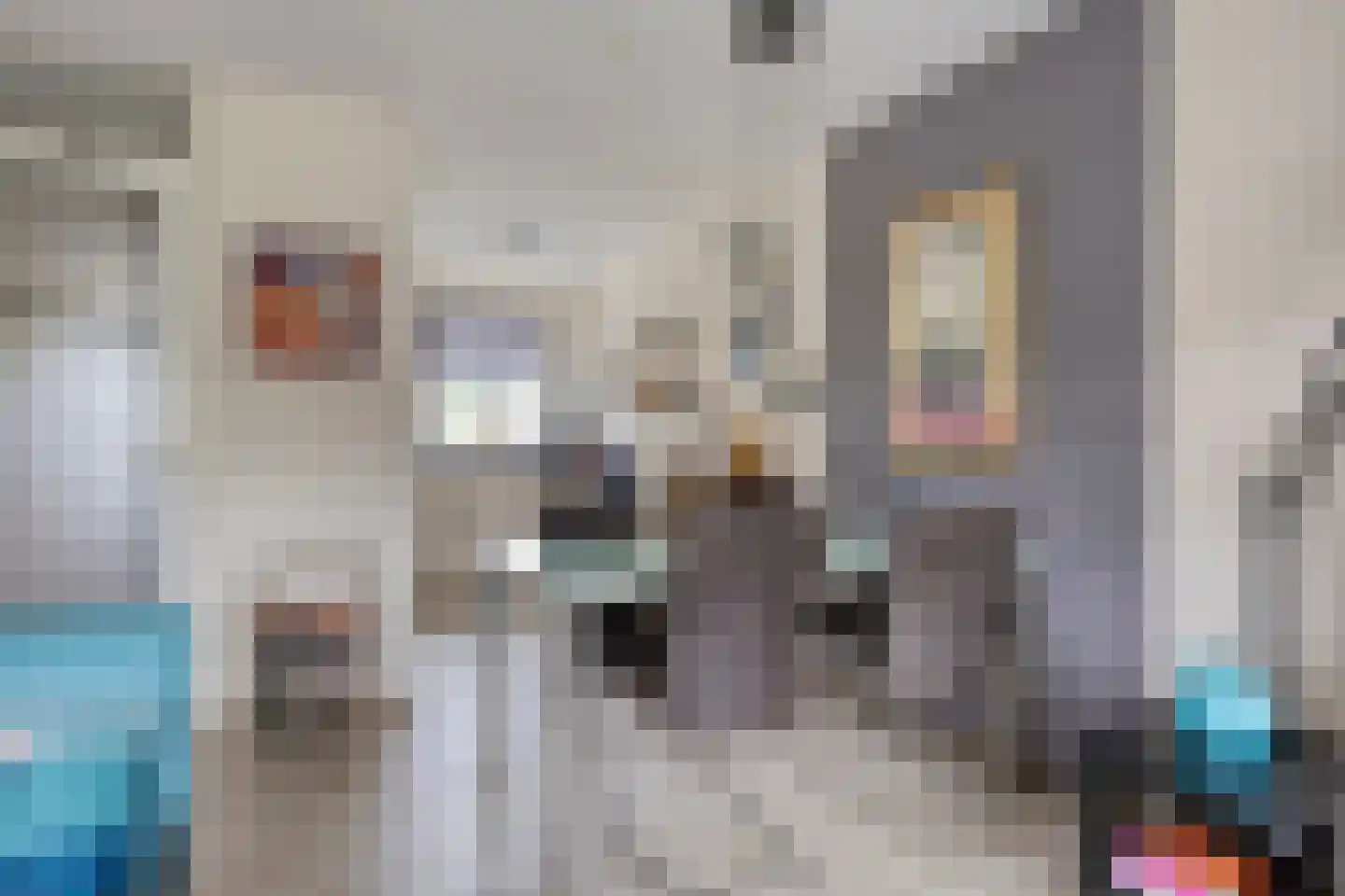Tijmstraat 41 Assen thumbnail 15