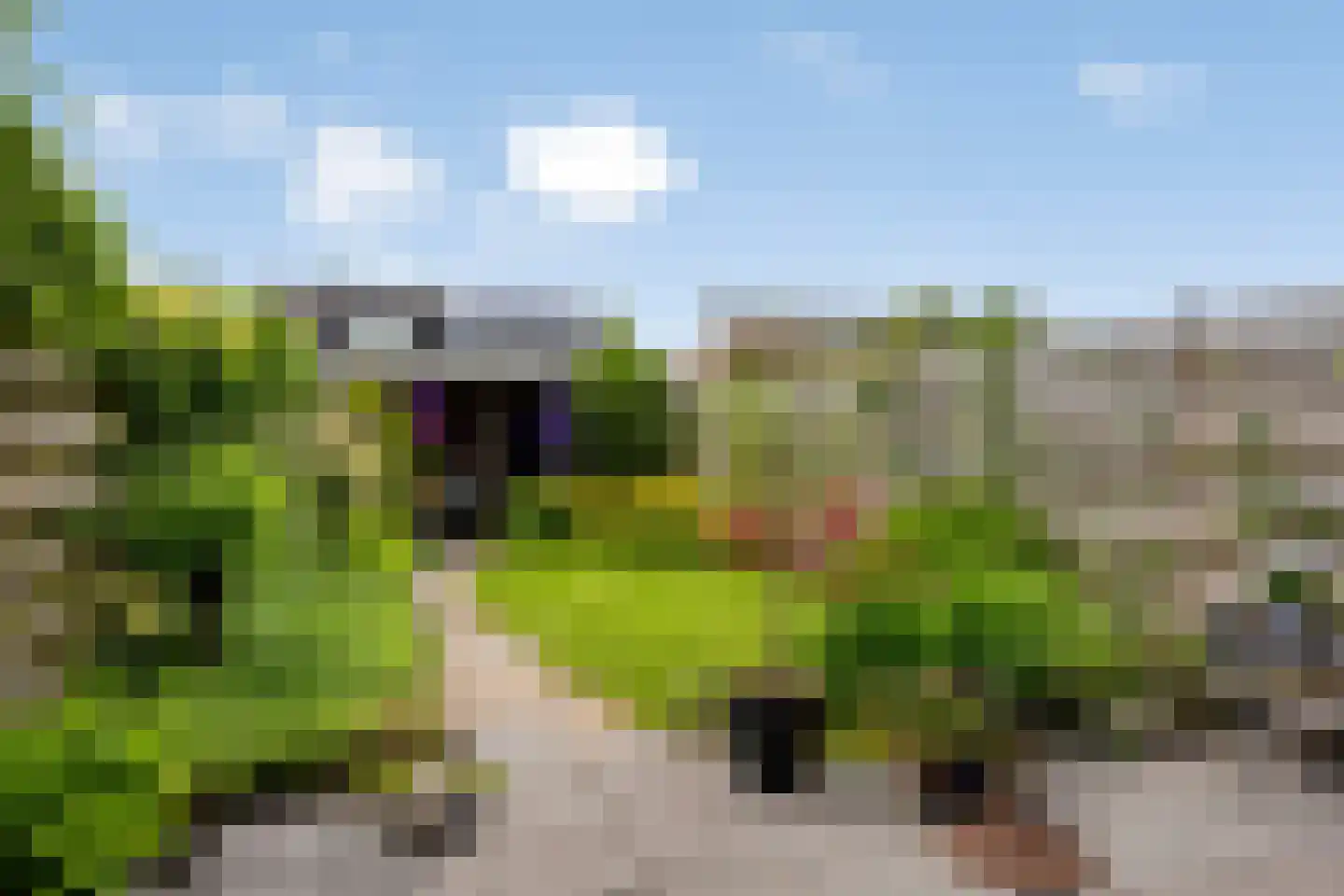 Tijmstraat 41 Assen thumbnail 28