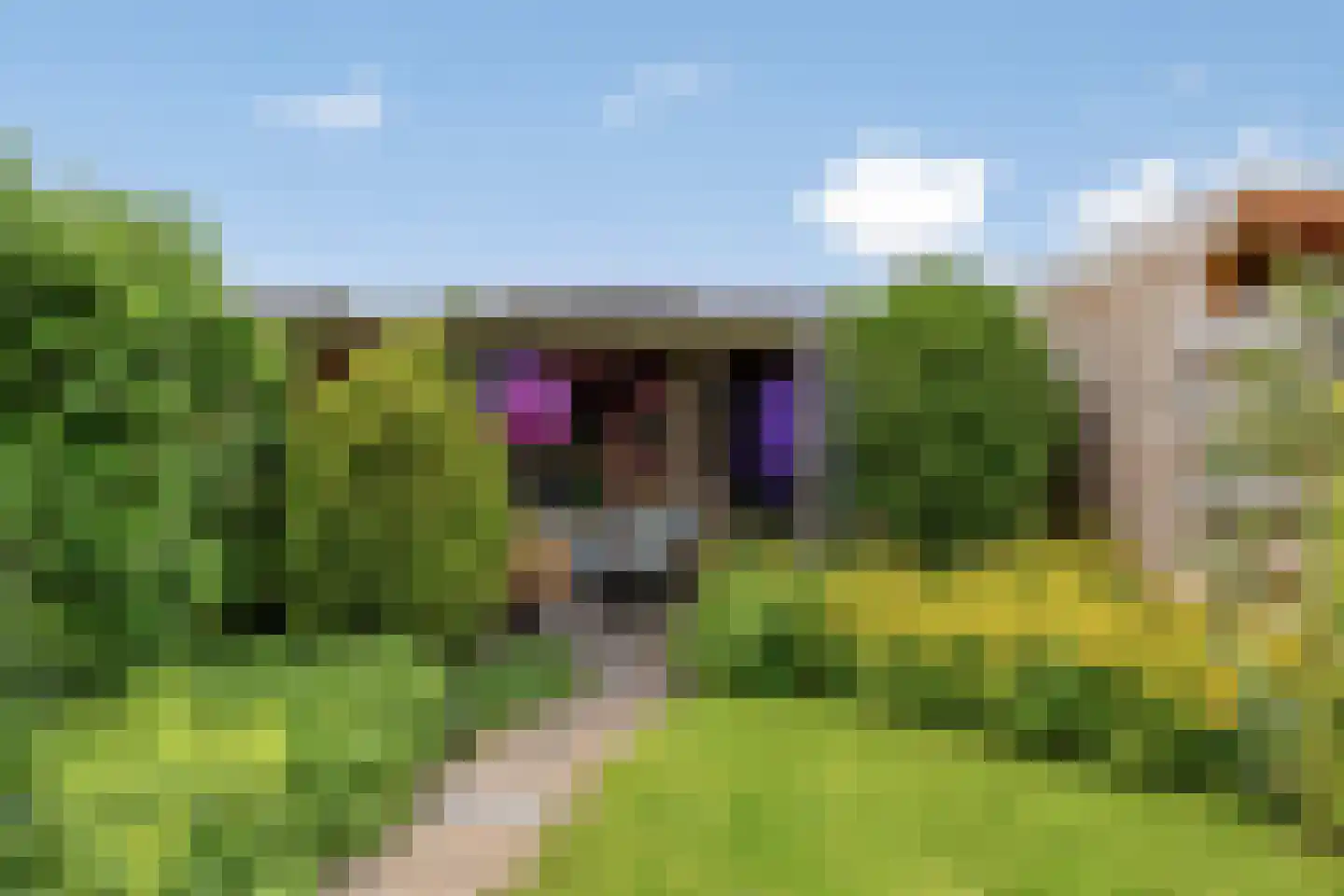 Tijmstraat 41 Assen thumbnail 31