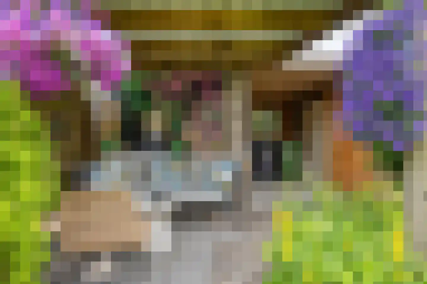Tijmstraat 41 Assen thumbnail 32