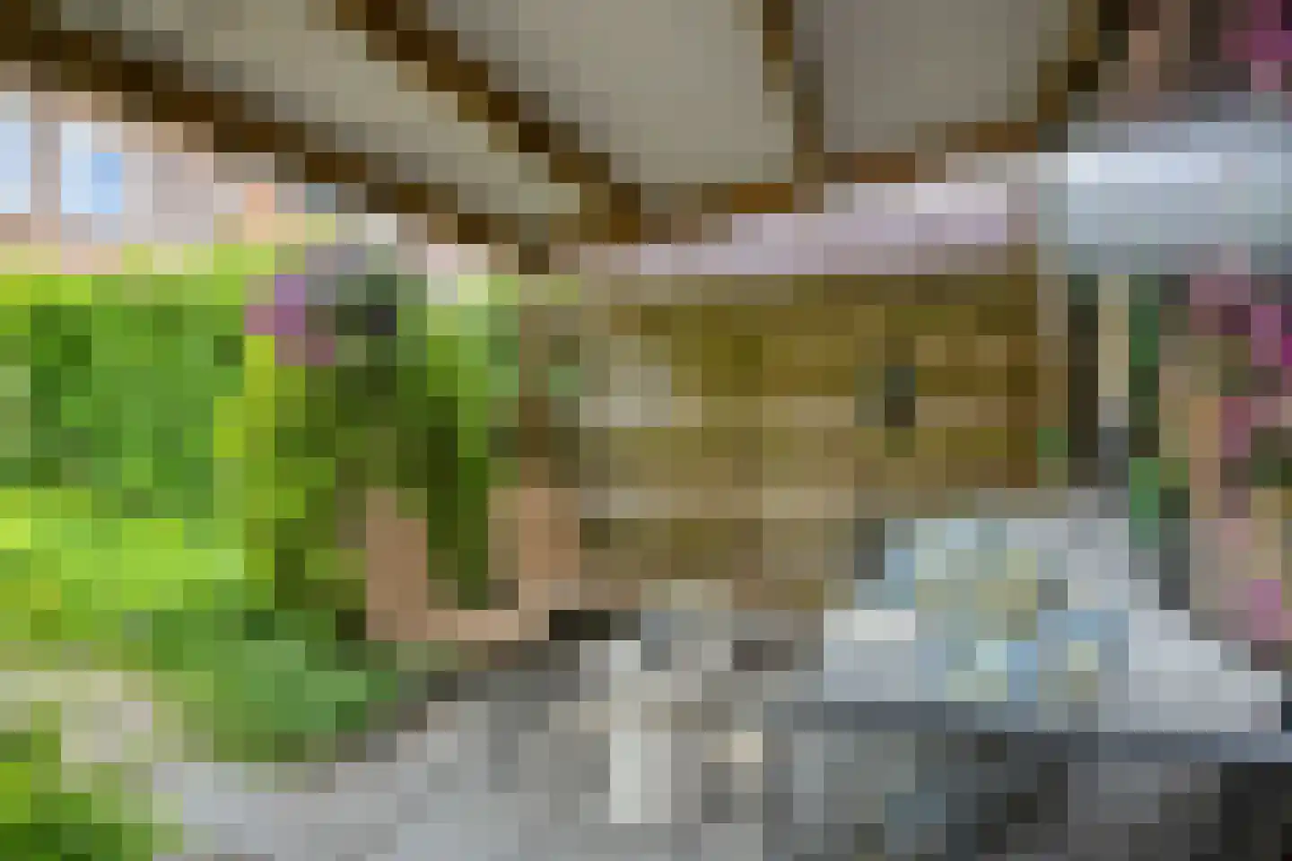 Tijmstraat 41 Assen thumbnail 33