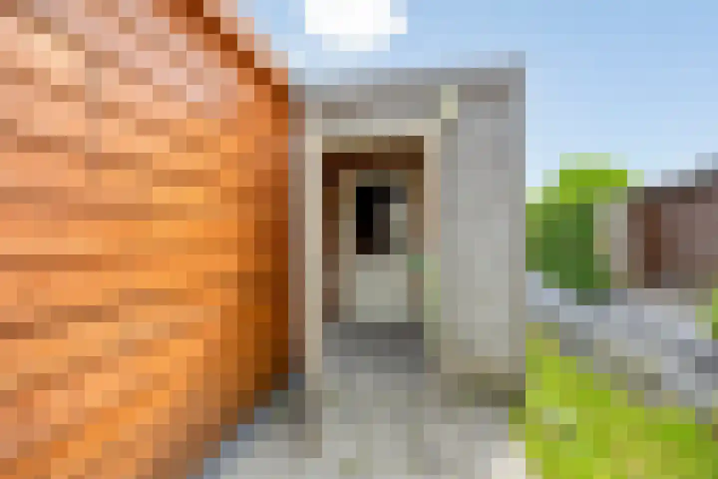 Tijmstraat 41 Assen thumbnail 35