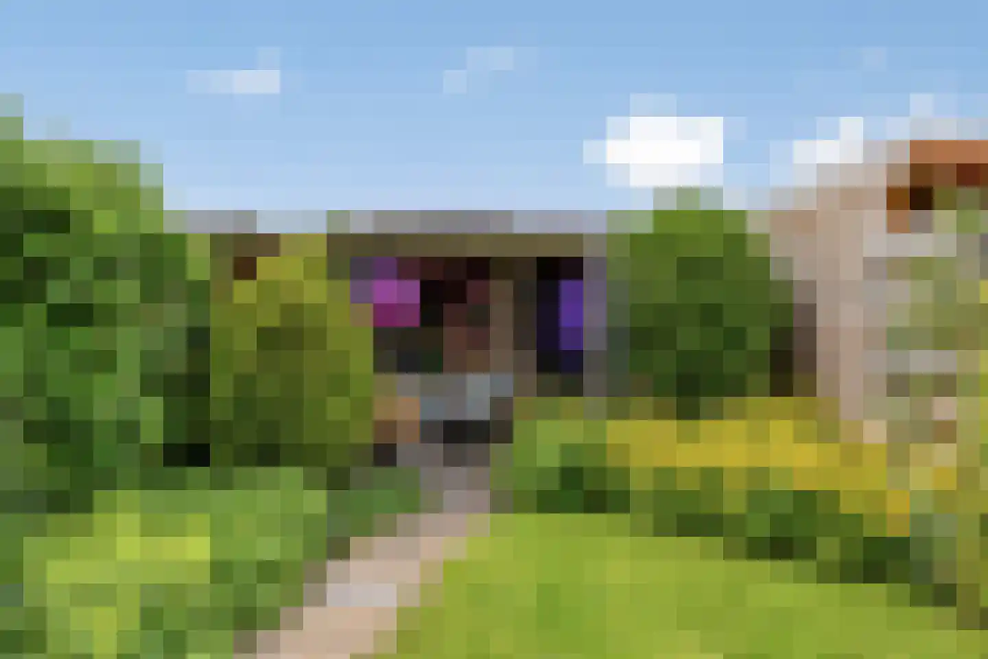 Tijmstraat 41 Assen thumbnail 5