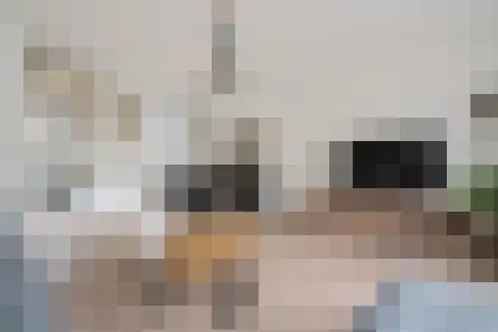 Tijmstraat 43 Assen thumbnail 11