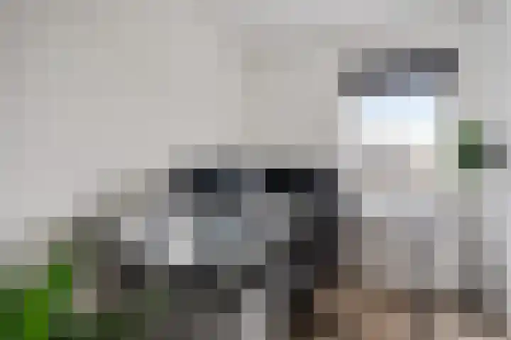 Tijmstraat 43 Assen thumbnail 21