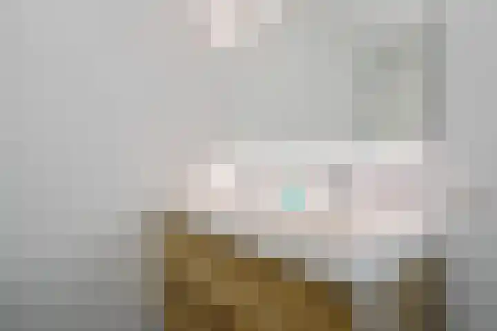 Tijmstraat 43 Assen thumbnail 23