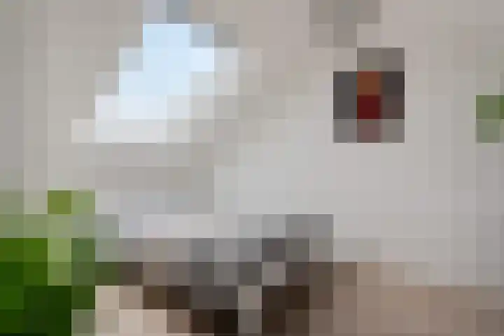 Tijmstraat 43 Assen thumbnail 25