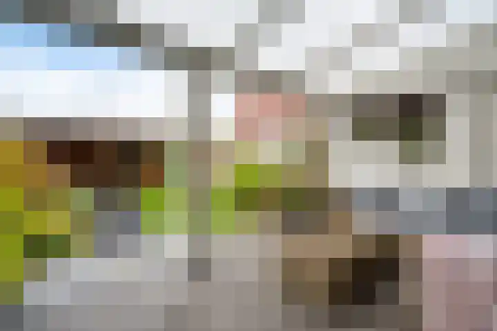 Tijmstraat 43 Assen thumbnail 28