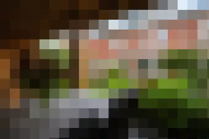 Tijmstraat 43 Assen thumbnail 32