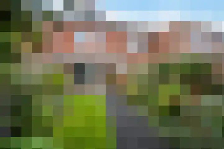 Tijmstraat 43 Assen thumbnail 33