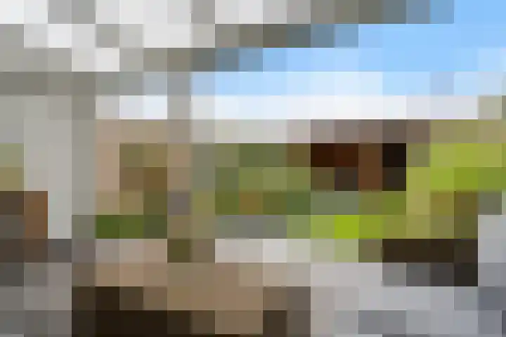 Tijmstraat 43 Assen thumbnail 4