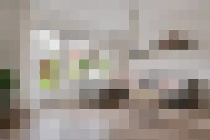 Tijmstraat 43 Assen thumbnail 9