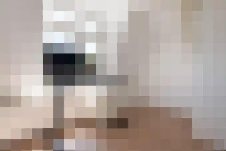Tijmstraat 46 Utrecht thumbnail 28