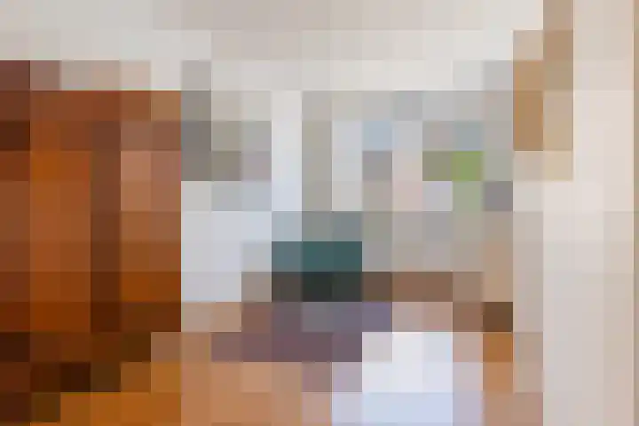 Tijmstraat 46 Utrecht thumbnail 4