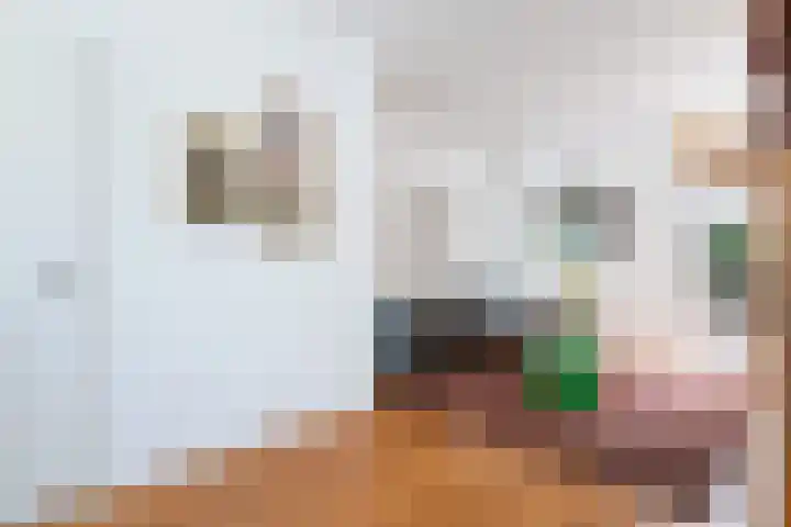 Tijmstraat 46 Utrecht thumbnail 6