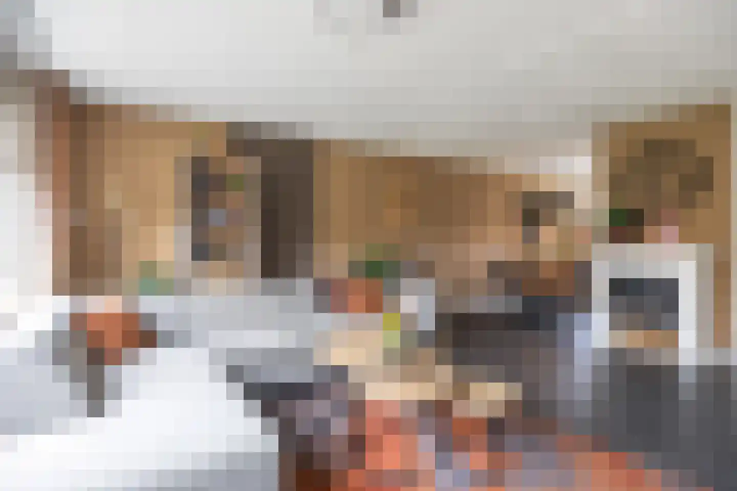 Tijmstraat 67 Assen thumbnail 10