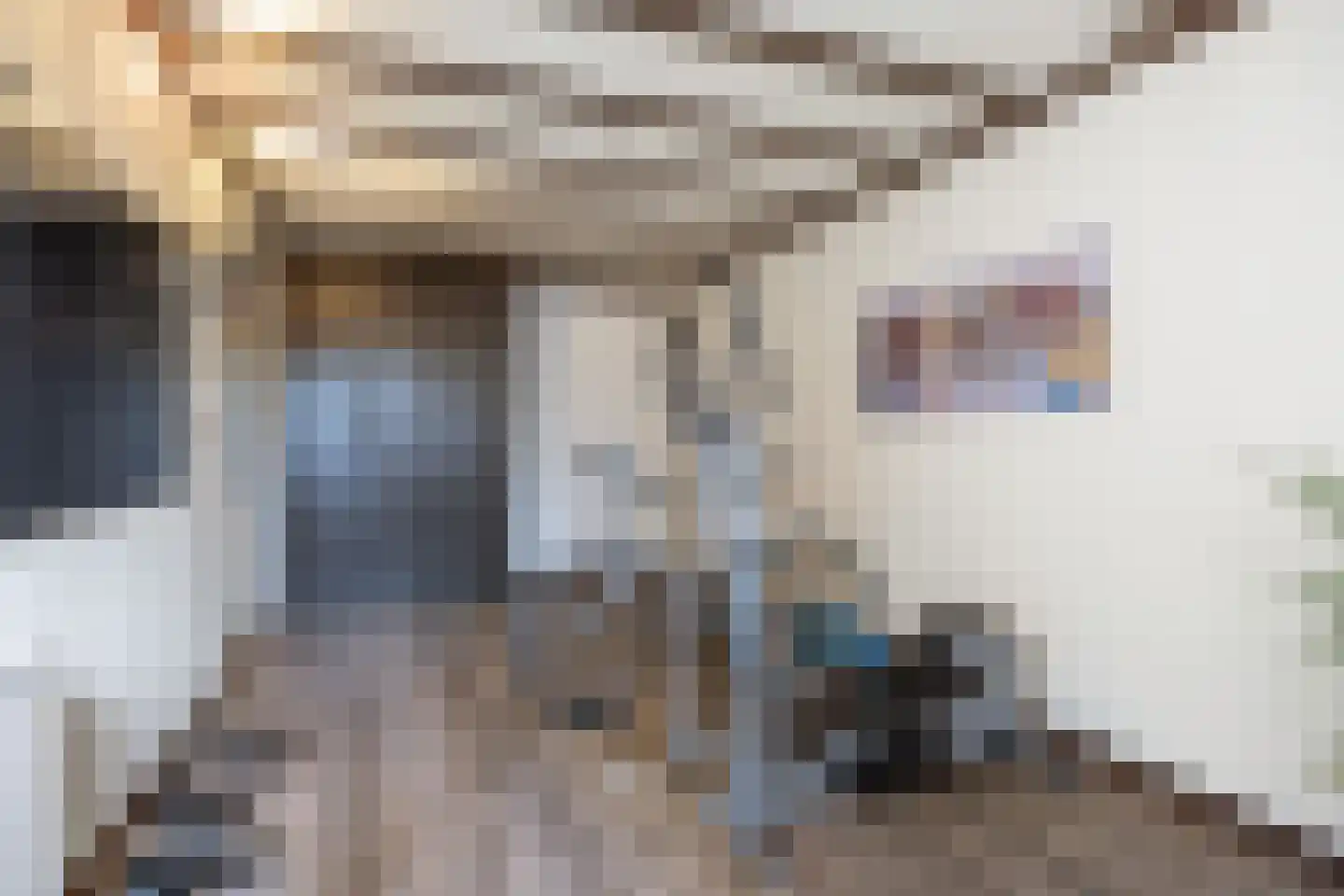 Tijmstraat 67 Assen thumbnail 16