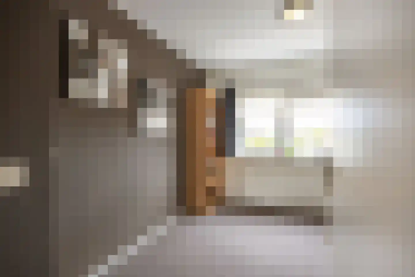 Tijmstraat 67 Assen thumbnail 26