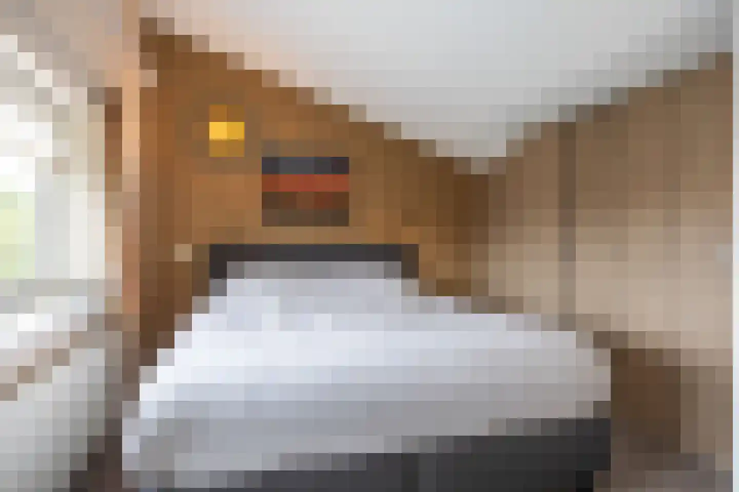 Tijmstraat 67 Assen thumbnail 33