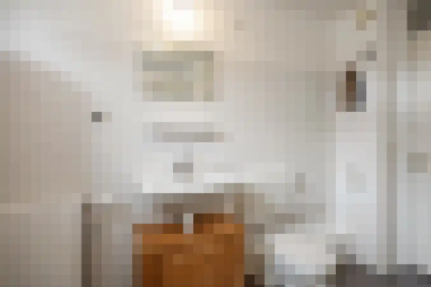 Tijmstraat 67 Assen thumbnail 34