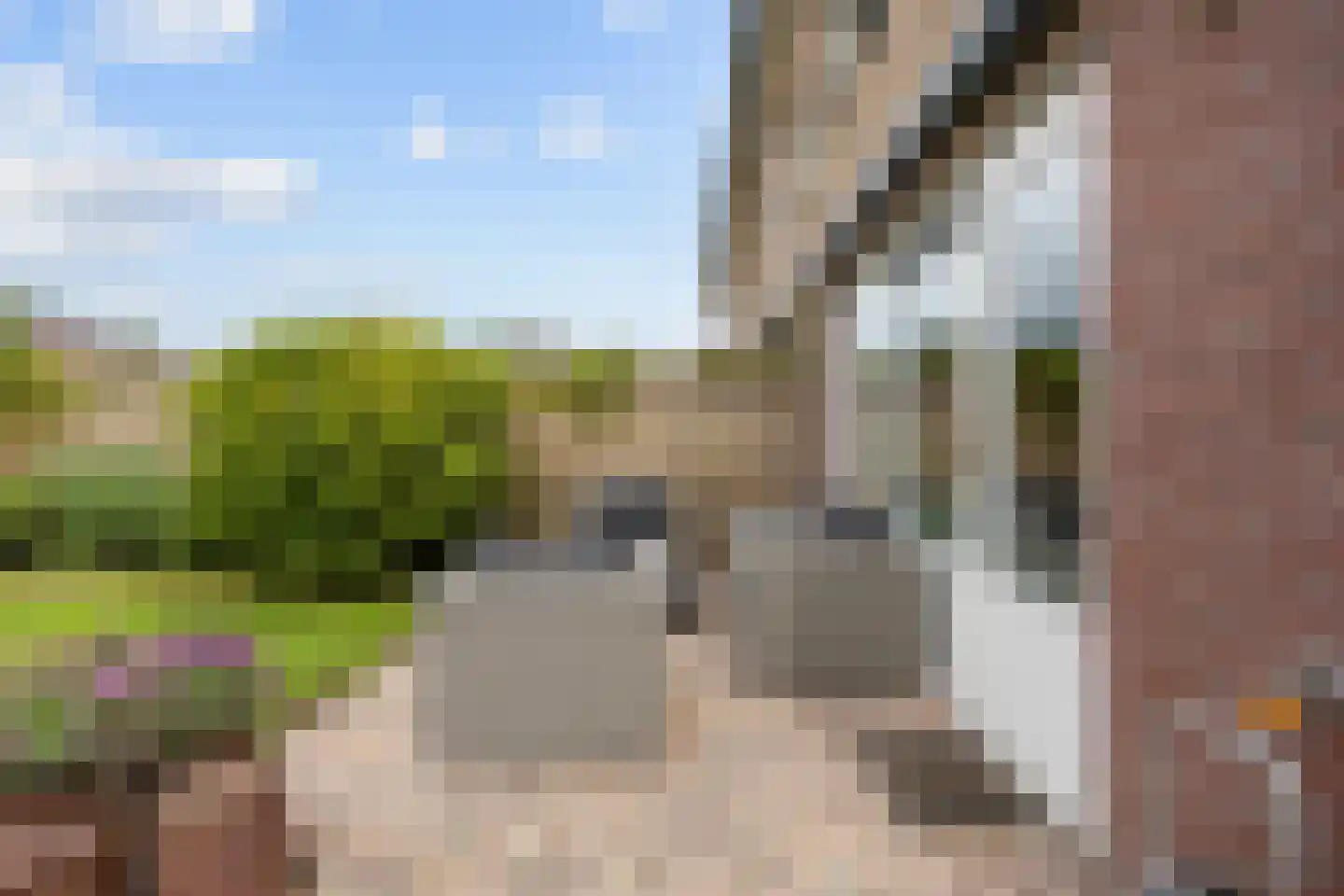 Tijmstraat 67 Assen thumbnail 47