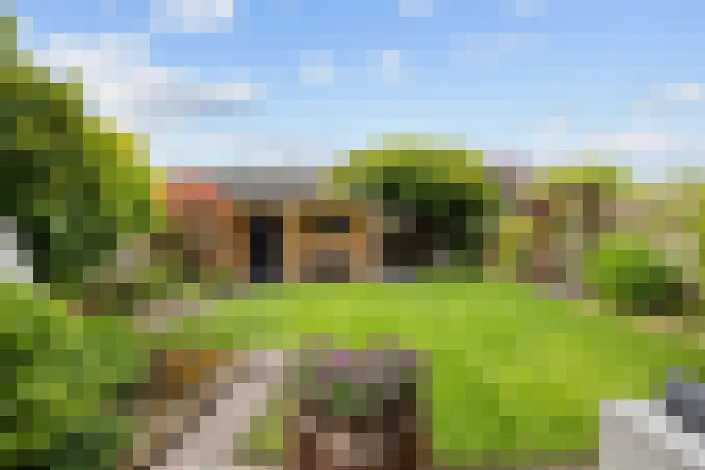Tijmstraat 67 Assen thumbnail 48