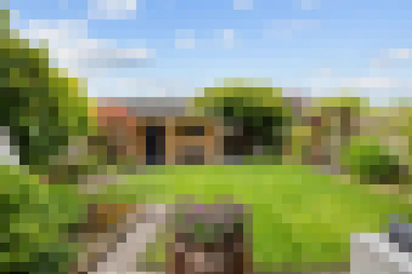 Tijmstraat 67 Assen thumbnail 7