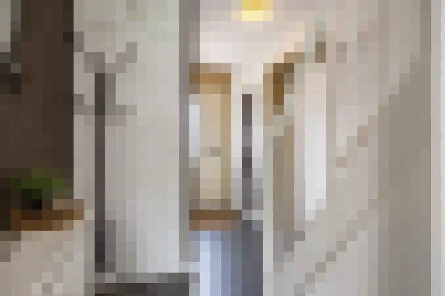 Tijmstraat 67 Assen thumbnail 8
