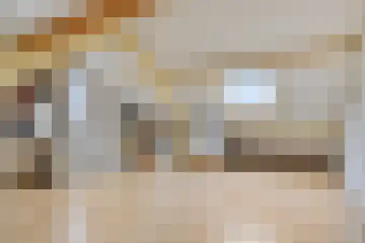 Tijmveld 112 Veghel thumbnail 24
