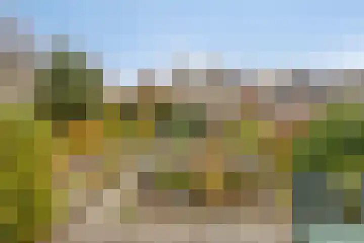 Tijmveld 112 Veghel thumbnail 26