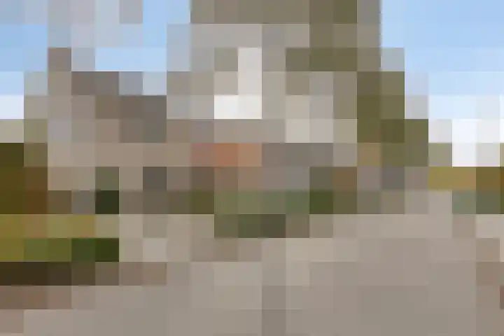 Tijmveld 112 Veghel thumbnail 29