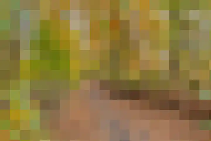 Tijmveld 112 Veghel thumbnail 30