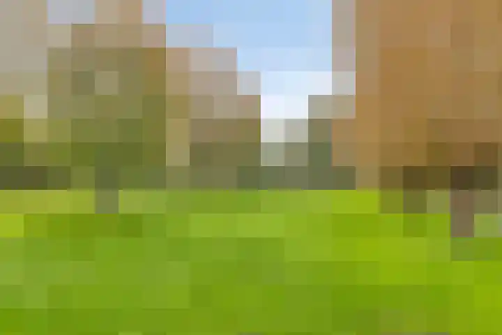 Tijmveld 112 Veghel thumbnail 31