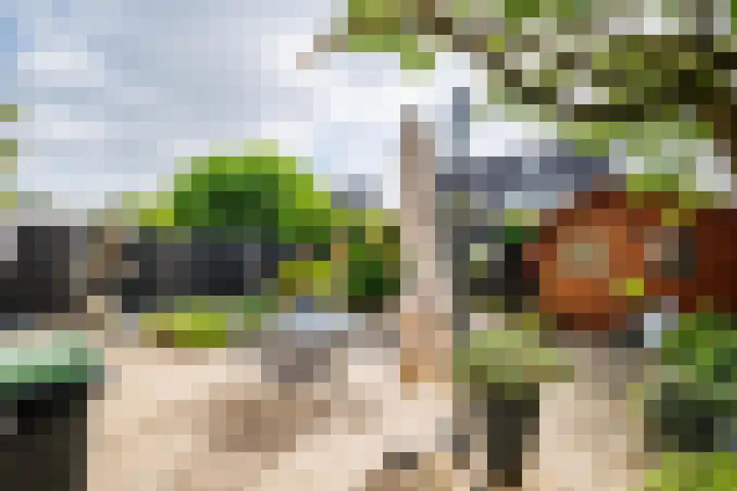 Tijmveld 19 Doetinchem thumbnail 20