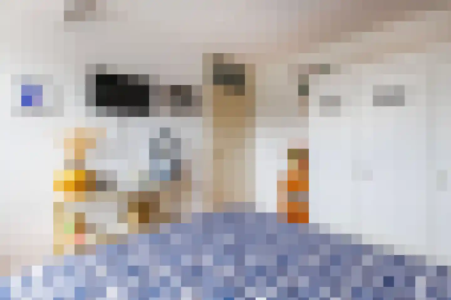 Tijmveld 19 Doetinchem thumbnail 30