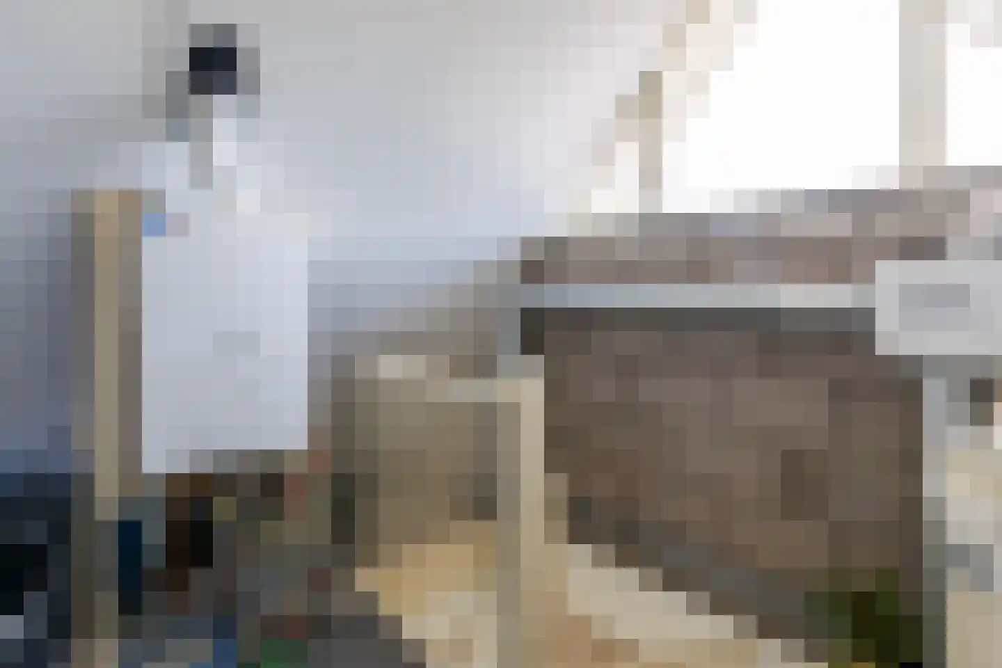 Tijmveld 19 Doetinchem thumbnail 35