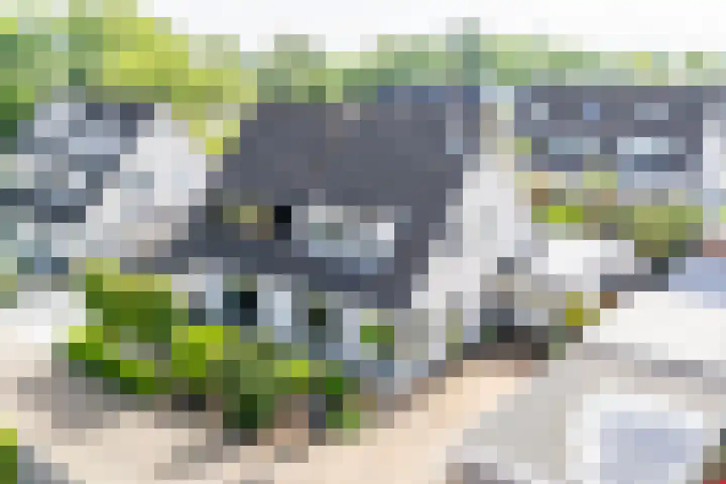 Tijmveld 19 Doetinchem thumbnail 39