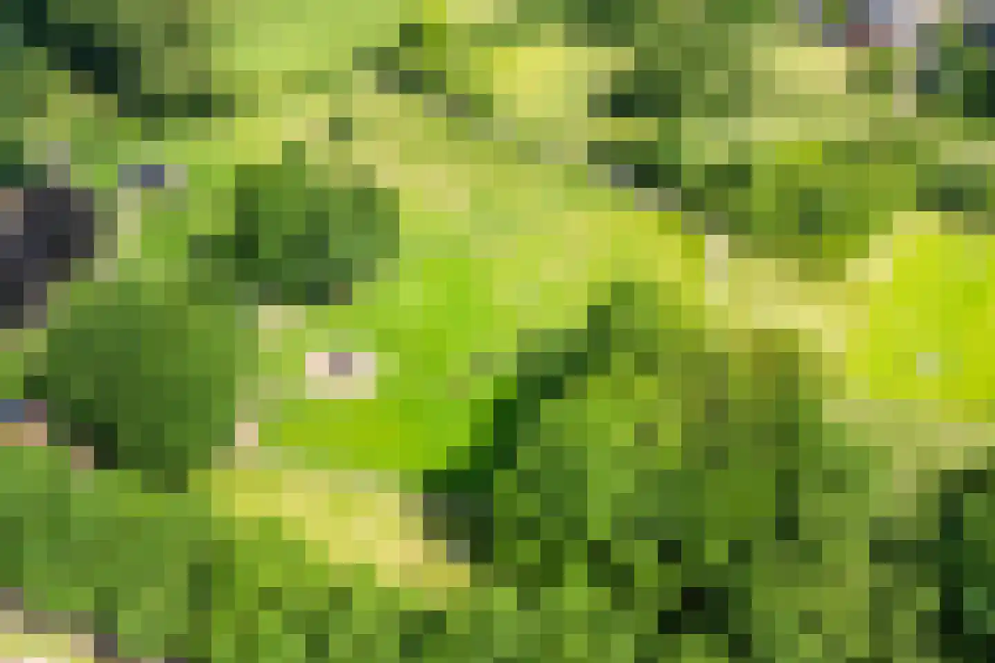 Tijmveld 19 Doetinchem thumbnail 44