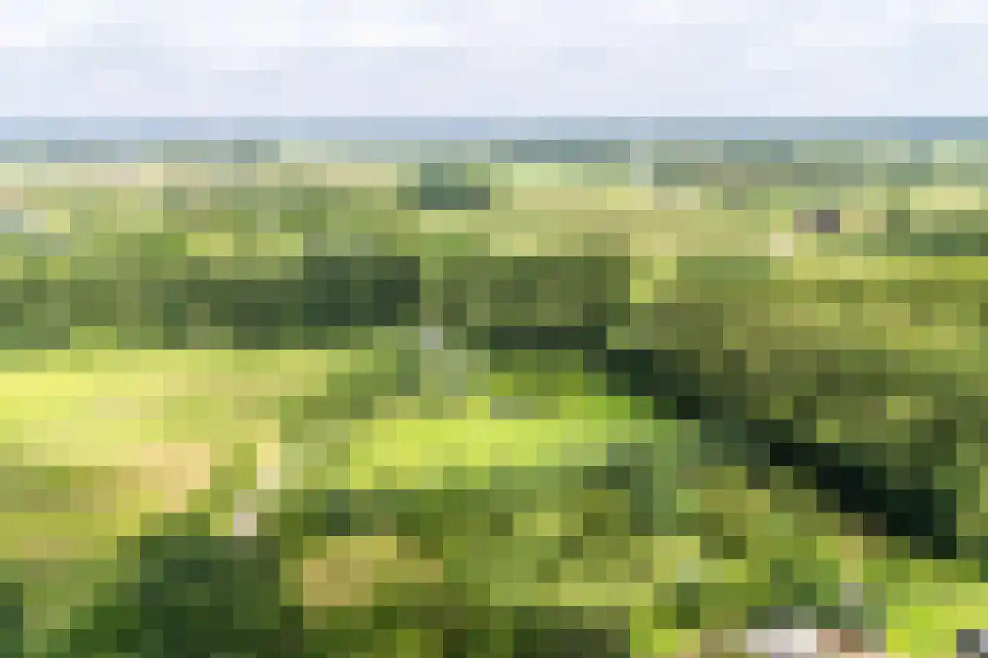 Tijmveld 19 Doetinchem thumbnail 45
