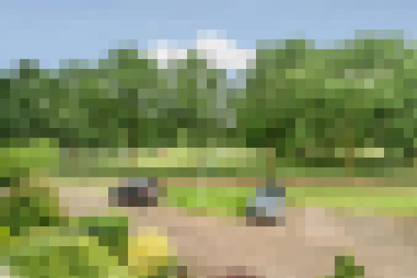 Tijmveld 20 Doetinchem thumbnail 29