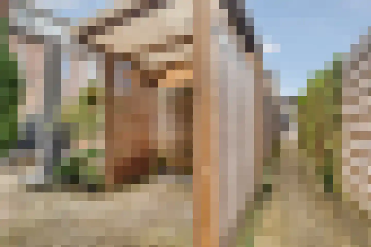 Tijmveld 20 Doetinchem thumbnail 39