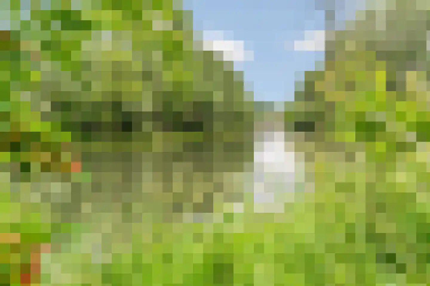 Tijmveld 20 Doetinchem thumbnail 41