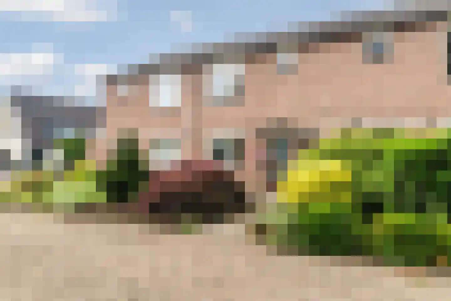 Tijmveld 20 Doetinchem thumbnail 6