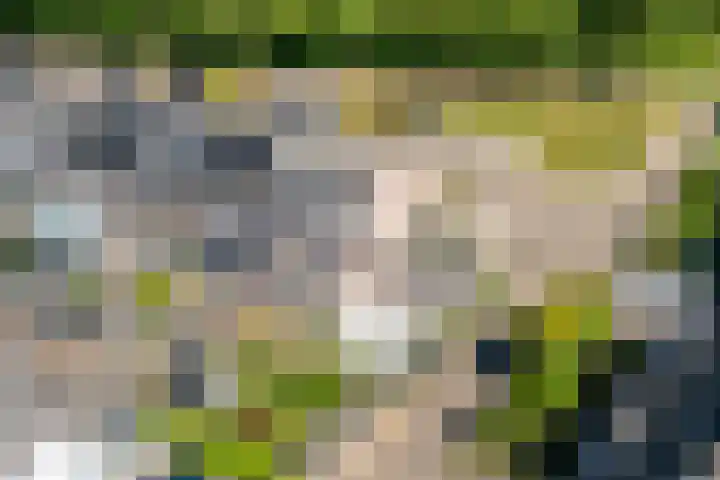 Tijmveld 22 Doetinchem thumbnail 35