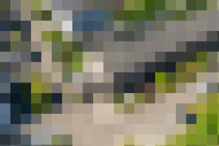 Tijmveld 22 Doetinchem thumbnail 36