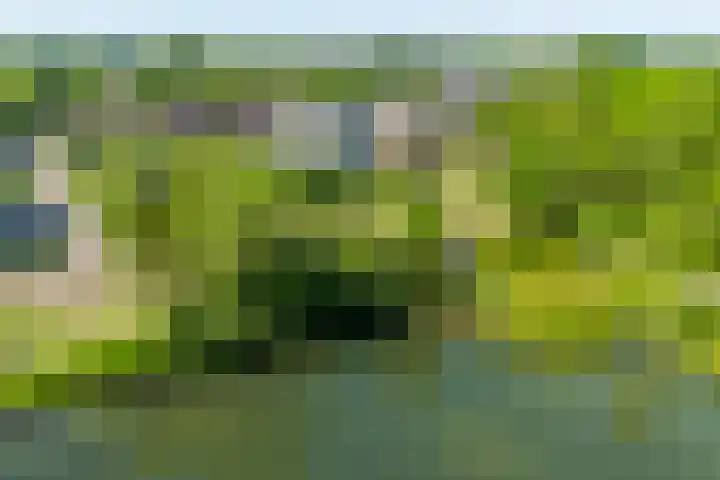 Tijmveld 22 Doetinchem thumbnail 37