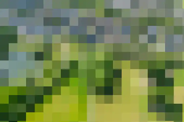 Tijmveld 22 Doetinchem thumbnail 38